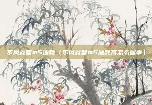 东风菱智m5油耗（东风菱智m5油耗高怎么回事）