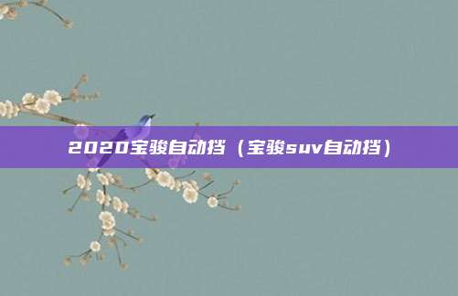 2020宝骏自动挡（宝骏suv自动挡）