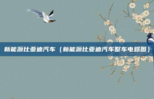 新能源比亚迪汽车（新能源比亚迪汽车整车电路图）