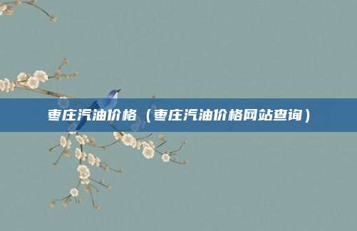 枣庄汽油价格(枣庄汽油价格网站查询)