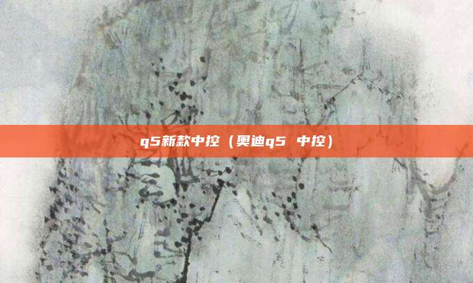 q5新款中控(奥迪q5 中控)