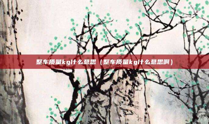整车质量kg什么意思（整车质量kg什么意思啊）