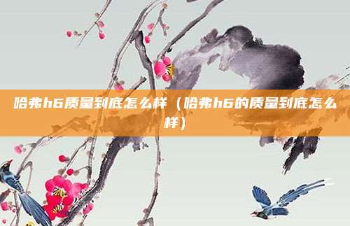 哈弗h6质量到底怎么样（哈弗h6的质量到底怎么样）