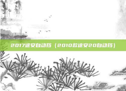 2017途安自动挡（2010款途安20自动挡）