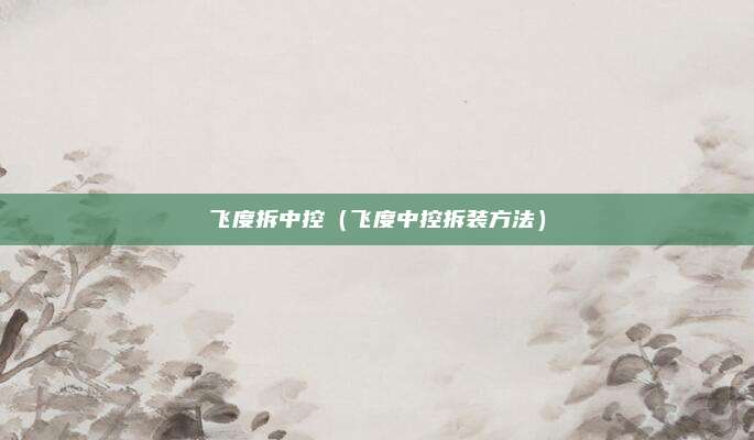 飞度拆中控（飞度中控拆装方法）