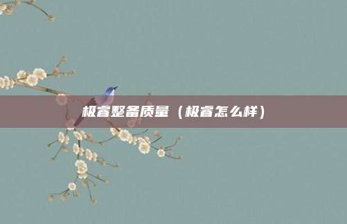 极睿整备质量（极睿怎么样）