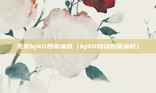 北京bj40四驱油耗（bj40自动四驱油耗）