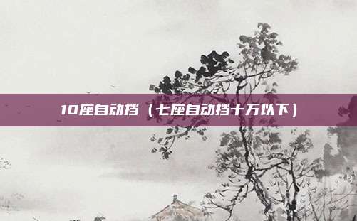 10座自动挡（七座自动挡十万以下）
