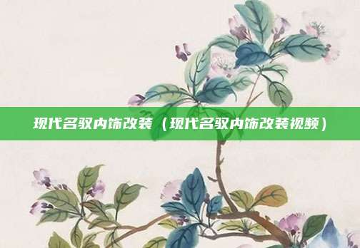 现代名驭内饰改装（现代名驭内饰改装视频）