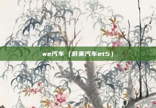 we汽车（蔚来汽车et5）