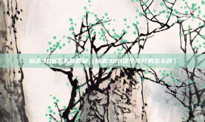 标志308怎么样质量（标志308这个车开的怎么样）
