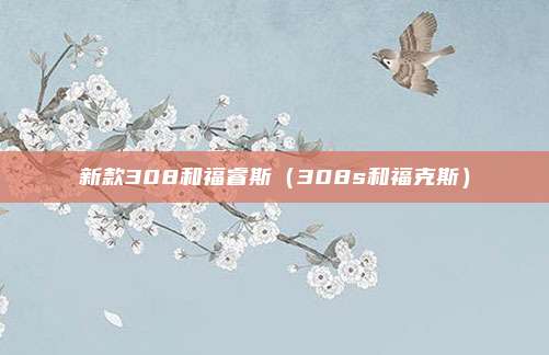 新款308和福睿斯（308s和福克斯）