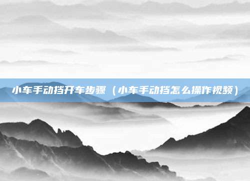 小车手动挡开车步骤(小车手动挡怎么操作视频)