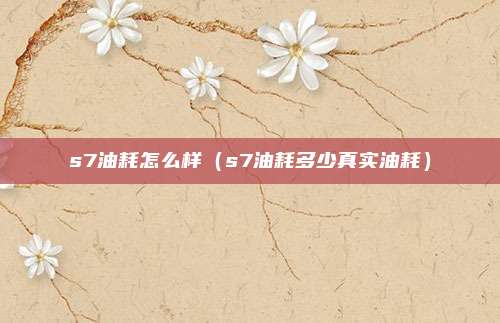 s7油耗怎么样(s7油耗多少真实油耗)