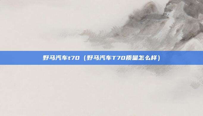 野马汽车t70(野马汽车T70质量怎么样)