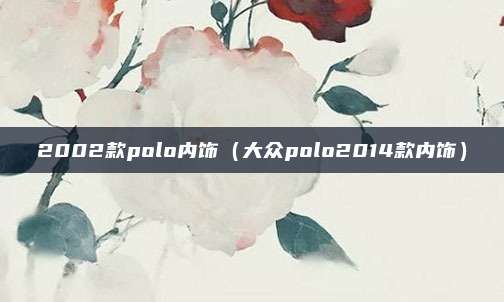 2002款polo内饰(大众polo2014款内饰)