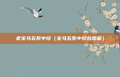 老宝马五系中控（宝马五系中控台图解）
