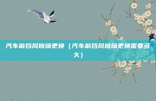 汽车前挡风玻璃更换（汽车前挡风玻璃更换需要多久）