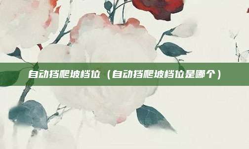 自动挡爬坡档位（自动挡爬坡档位是哪个）