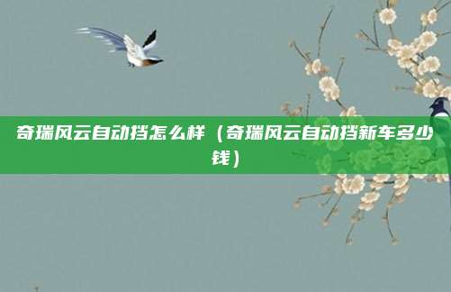 奇瑞风云自动挡怎么样（奇瑞风云自动挡新车多少钱）