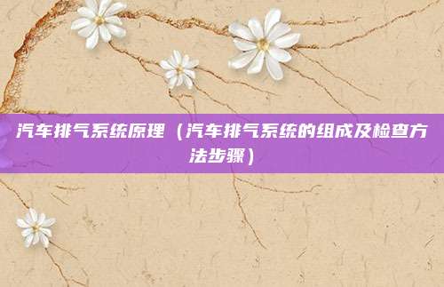 汽车排气系统原理(汽车排气系统的组成及检查方法步骤)