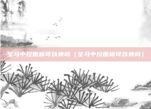 宝马中控面板可以换吗(宝马中控面板可以换吗)