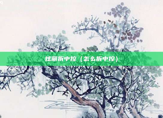 炫丽拆中控（怎么拆中控）