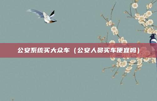公安系统买大众车(公安人员买车便宜吗)
