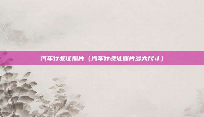 汽车行驶证照片（汽车行驶证照片多大尺寸）