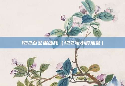 f22百公里油耗（f22每小时油耗）