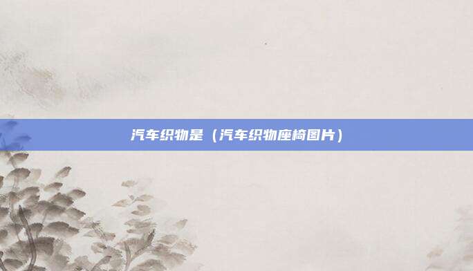 汽车织物是（汽车织物座椅图片）