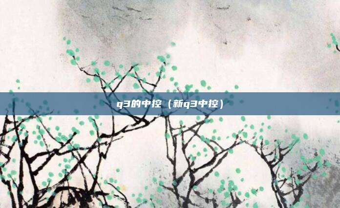 q3的中控（新q3中控）
