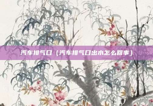 汽车排气口（汽车排气口出水怎么回事）