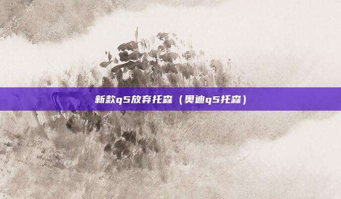 新款q5放弃托森（奥迪q5托森）