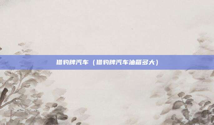 猎豹牌汽车(猎豹牌汽车油箱多大)