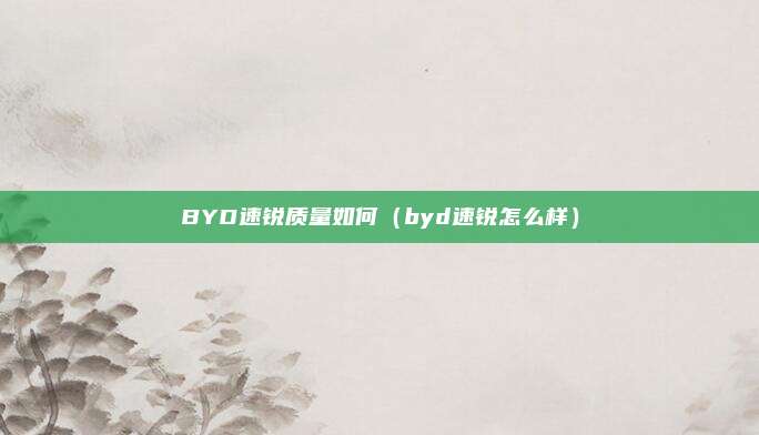 BYD速锐质量如何(byd速锐怎么样)