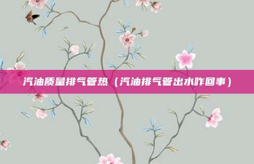汽油质量排气管热（汽油排气管出水咋回事）