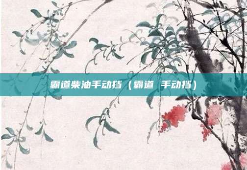 霸道柴油手动挡(霸道 手动挡)