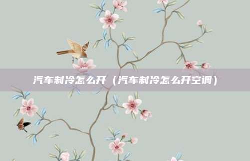 汽车制冷怎么开（汽车制冷怎么开空调）