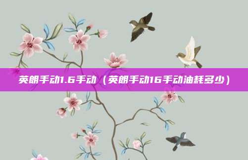英朗手动1.6手动(英朗手动16手动油耗多少)