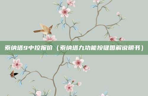 索纳塔9中控报价（索纳塔九功能按键图解说明书）