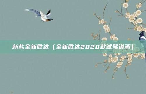 新款全新胜达（全新胜达2020款试驾讲解）