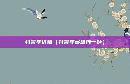 特警车价格(特警车多少钱一辆)