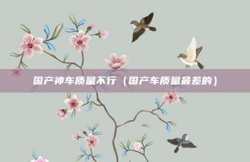 国产神车质量不行（国产车质量最差的）