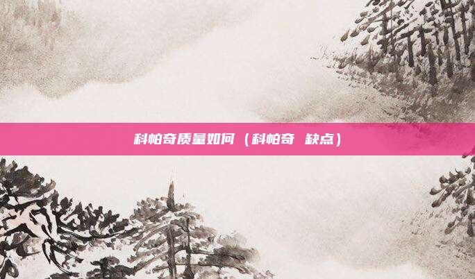 科帕奇质量如何（科帕奇 缺点）