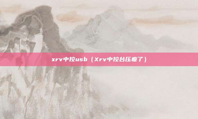 xrv中控usb（Xrv中控台压瘪了）
