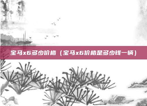 宝马x6多少价格（宝马x6价格是多少钱一辆）