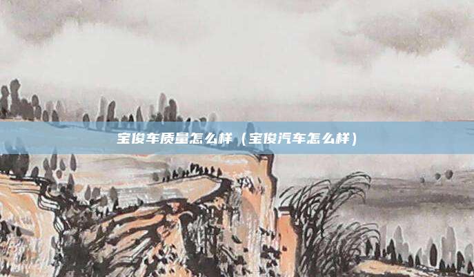 宝俊车质量怎么样（宝俊汽车怎么样）