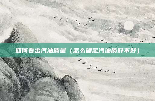 如何看出汽油质量（怎么确定汽油质好不好）