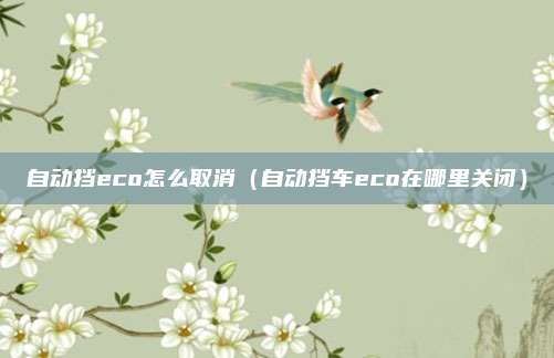 自动挡eco怎么取消(自动挡车eco在哪里关闭)
